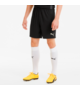 Men's Puma TeamGOAL 23 Knit Shorts