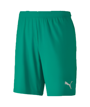 Men's Puma TeamGOAL 23 Knit Shorts