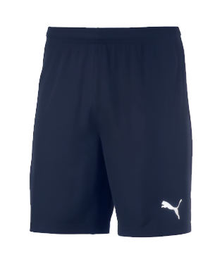 Men's Puma TeamGOAL 23 Knit Shorts