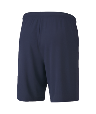 Men's Puma TeamGOAL 23 Knit Shorts