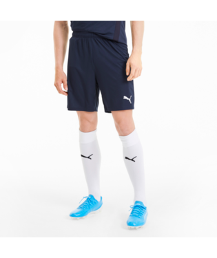 Men's Puma TeamGOAL 23 Knit Shorts