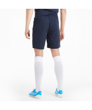 Men's Puma TeamGOAL 23 Knit Shorts