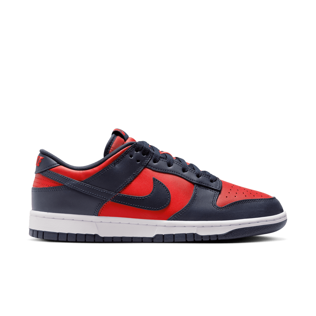 Men's Nike Dunk Low Retro " CO.JP City Attack"