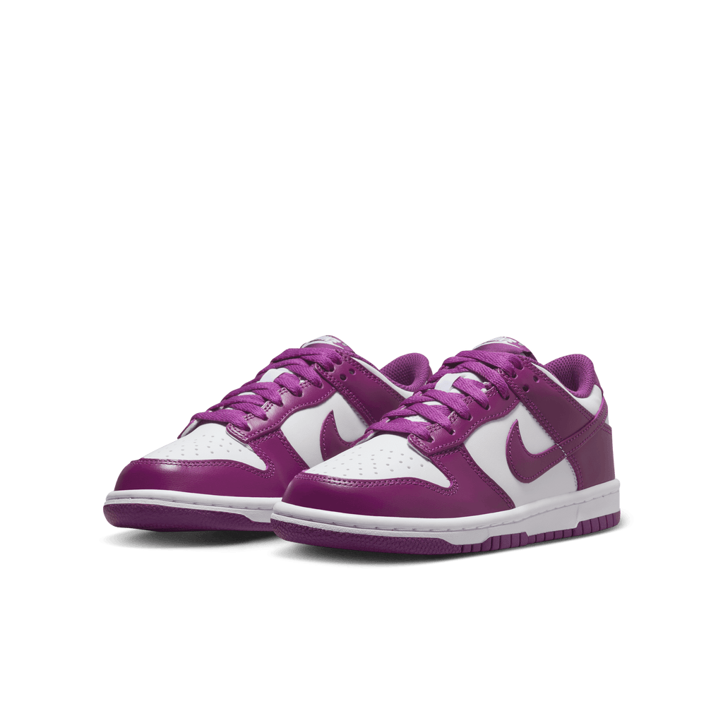 Big Kids' Nike Dunk Low "Viotech"