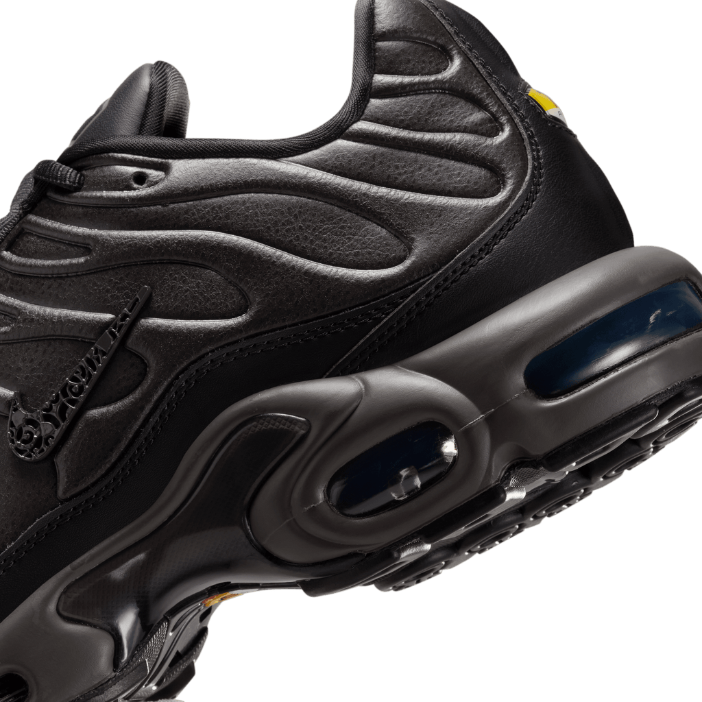 Men's Nike Air Max Plus Premium "Paris"