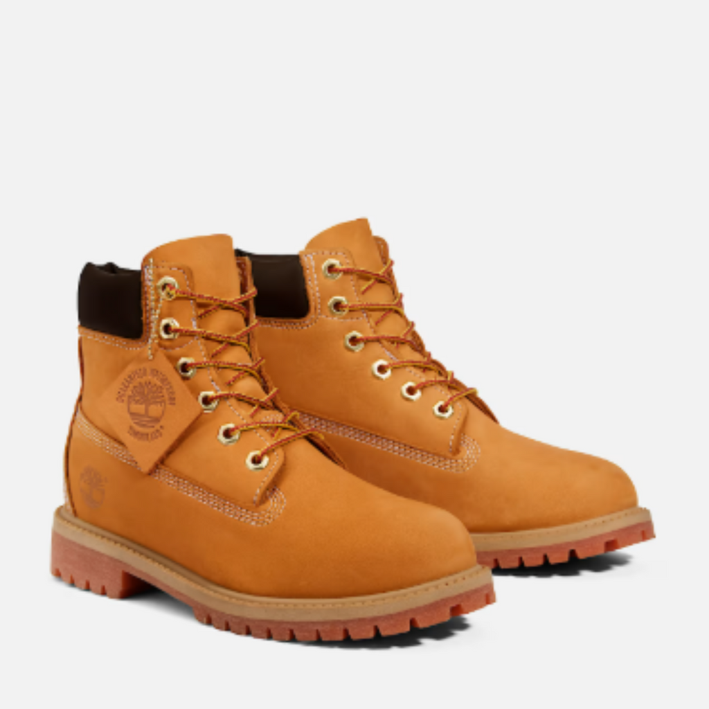 Big Kids' Timberland® Premium 6-Inch Waterproof Boot