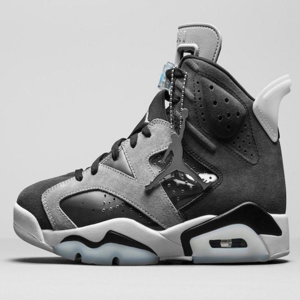 Women's Jordan 6 Retro "Tech Chrome"